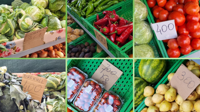 -640-0-1775580424xcmimet-e-perimeve-696x392-256