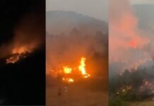 Zjarri në malin e Koshnicës, reparti zjarrfikës Gramsh: A nuk mjaftoi vera e kaluar?! Historia rrezikoi të përsëritej