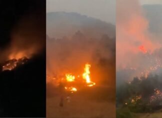 Zjarri në malin e Koshnicës, reparti zjarrfikës Gramsh: A nuk mjaftoi vera e kaluar?! Historia rrezikoi të përsëritej