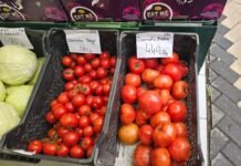 Domatja, mall luksi/ Në Dubai kushtojnë më pak se në Shqipëri