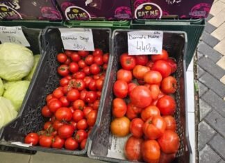 Domatja, mall luksi/ Në Dubai kushtojnë më pak se në Shqipëri