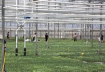 Bujqësia në “koma”, importet e ushqimeve rriten me 19% në 3-mujorin e parë