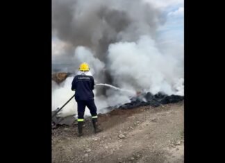 Djegia e gomave pranë lumit Shkumbin shkakton shqetësim te banorët në Elbasan