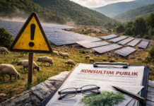 Elbasan/Fotovoltaikë mbi kullota dhe pyje pa konsultim real dhe vlerësim mjedisor
