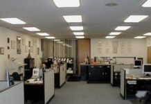 Pagat/ Të gjithë duan të punojnë në shtet, DAP: 20 aplikime për një vend pune