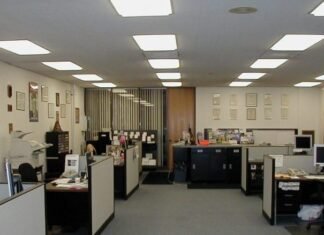 Pagat/ Të gjithë duan të punojnë në shtet, DAP: 20 aplikime për një vend pune