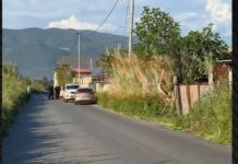 E rëndë në Greqi! Pronari grek vret shqiptarin në stallën e bagëtive