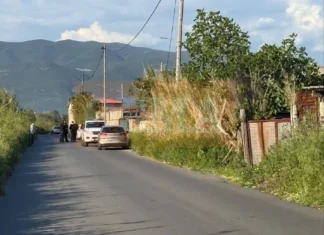 E rëndë në Greqi! Pronari grek vret shqiptarin në stallën e bagëtive