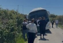 Çaste frike në Zvërnec, del nga rruga autobusi me nxënës në rrugën drejt Manastirit (FOTO)