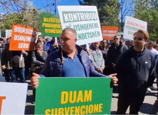 Heqja e subvencionit të naftës, blegtorët në protestë përpara Ministrisë së Bujqësisë