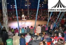 12-vjeçarja u plagos gjatë numrit akrobatik, Cirku Kombëtar tregon detajet se si ndodhi aksidenti