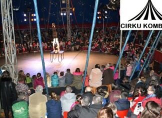 12-vjeçarja u plagos gjatë numrit akrobatik, Cirku Kombëtar tregon detajet se si ndodhi aksidenti