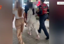 Operacioni “Streha” në Elbasan, arrestohen 4 shtetase të huaja që ofronin marrdhënie dhe shpërndanin drogë. Në kërkim organizatori