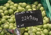 Çmenduri me ushqimet/ Kumbulla në Shqipëri shitet si flori, me 22 mijë lekë/kg! (FOTO)