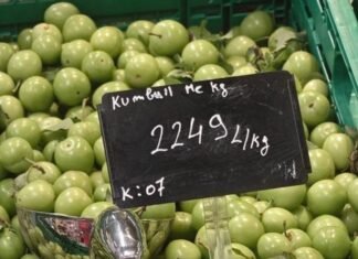 Çmenduri me ushqimet/ Kumbulla në Shqipëri shitet si flori, me 22 mijë lekë/kg! (FOTO)