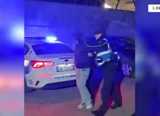 Librazhd/Arrestohet 32-vjeçari që tentoi të rrëmbejë një grua