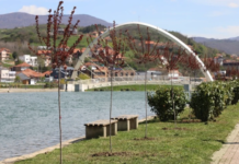 Foshnja bie në liqen, por ndodh mrekullia!