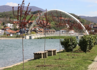 Foshnja bie në liqen, por ndodh mrekullia!