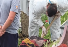 Mister në Lushnjë/ Persona të paidentifikuar hapin tunel dhe vjedhin eshtrat e gruas që ndërroi jetë 17 vite më parë