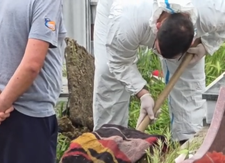 Mister në Lushnjë/ Persona të paidentifikuar hapin tunel dhe vjedhin eshtrat e gruas që ndërroi jetë 17 vite më parë