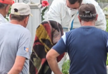 Identifikohet dhe kapet nga policia 36-vjeçari që hapi varrin e gruas në Lushnje