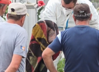 Identifikohet dhe kapet nga policia 36-vjeçari që hapi varrin e gruas në Lushnje