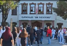 Numri i maturantëve në rënie, faktorët demografikë dhe emigracioni ndikojnë arsimin