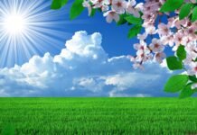 Parashikimi i motit për sot, 5 prill 2026