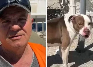 ‘U turr dhe e kapi nga koka’! Qeni kafshoi 4-vjeçaren, flet qytetari hero: Shkova dhe e lidha me zinxhir