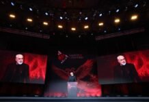 Samiti i Diasporës, BIRN: Efekti propagandistik e tejkalon ndikimin real