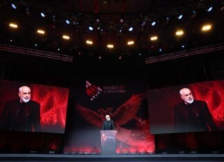 Samiti i Diasporës, BIRN: Efekti propagandistik e tejkalon ndikimin real