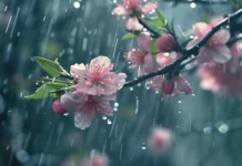 Vranësira të dendura dhe reshje të dobëta, parashikimi i motit sot