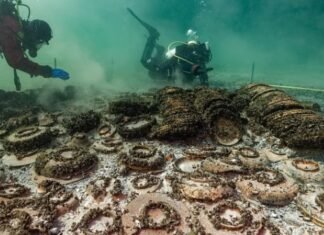 Zbulim spektakolar: Arkeologët gjejnë 1000 objekte romake nga një liqen në Zvicër