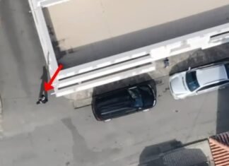 Shisnin kanabis pranë shkollave/ Policia arreston shtatë persona