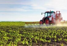 ALARMI: 10 pesticide të ndaluara në BE gjenden në tregun shqiptar