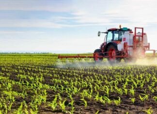 ALARMI: 10 pesticide të ndaluara në BE gjenden në tregun shqiptar
