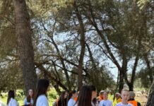 Zëri im, politika ime nxit ndryshimin/ Angazhim i përbashkët për hapësira publike më të pastra në Peqin