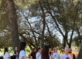 Zëri im, politika ime nxit ndryshimin/ Angazhim i përbashkët për hapësira publike më të pastra në Peqin