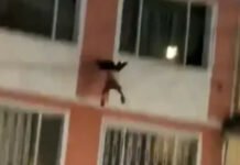VIDEO/ Momente ankthi! 2-vjeçari bie nga ballkoni i katit të katërt, shpëtohet nga banorët