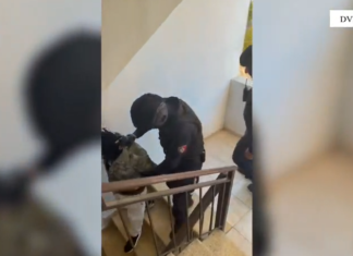 Operacioni i madh antidrogë në Elbasan, ndalohen 18 persona. Sekuestrohen lëndë narkotike e prova të tjera