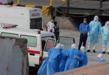 Identifikohet “Pacienti Zero” me Hantavirus/ Si do të kryhet operacioni i largimit nga anija turistike?