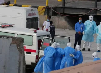 Identifikohet “Pacienti Zero” me Hantavirus/ Si do të kryhet operacioni i largimit nga anija turistike?