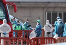 Shfaqi simptoma të hantavirusit, 25-vjeçari në Itali transportohet me urgjencë në spital