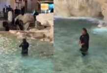 Turisti thyen rregullat në Romë, hidhet në Shatërvanin e Trevit! Gjobitet dhe i ndalohet hyrja në qytet