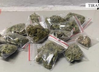 Shpërndante kanabis pranë shkollave në Tiranë/ Arrestohet shitësi 27-vjeçar dhe procedohet blerësi