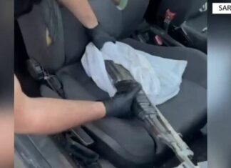 Klarinetisti niset nga Ksamili për të vizituar gruan në Tiranë, me vete merr edhe dy kallashë për ti shitur