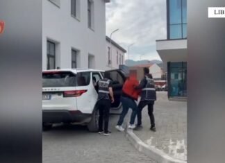 Arrestohen dy persona pasi kapen me drogë në lokal në Prrenjas