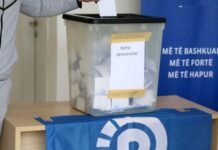 Zgjedhjet në PD, publikohet rezultati nga dega e Gramshit