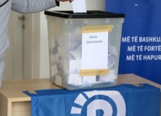 Zgjedhjet në PD, publikohet rezultati nga dega e Gramshit