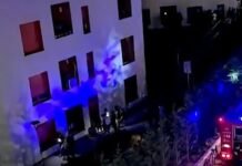 Panik pas mesnate/ Zjarr te kompleksi ‘Kadiu’ në Ali Dem, raportohet për të lënduar